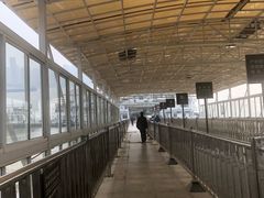 -武汉关码头(轮渡站)