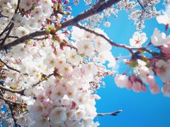 -阪急百货店(梅田总店)