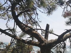 -海东龙宫寺