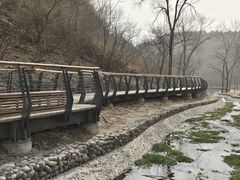 -白水寺森林公园