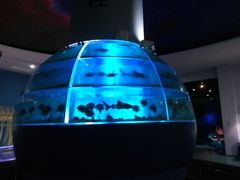 -福州罗源湾海洋世界旅游区