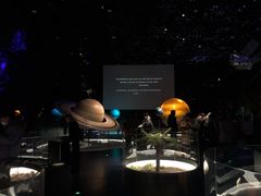 -贝林大翅鲸简餐厅(国家海洋博物馆店)