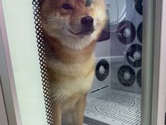 -FAELING PETS美天灵宠物(富力广场店)