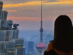 -上海柏悦酒店