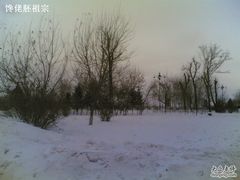 -黑龙江公园