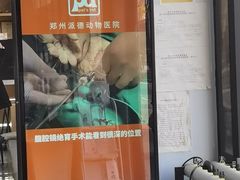 -pd派德宠物中心医院24H急重症·眼科中心·血液透析中心(嵩山北路店)