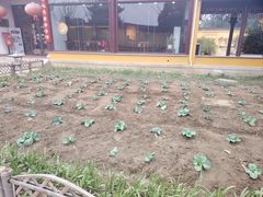 -重元寺香积厨素斋馆