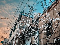 -西安化觉巷清真大寺