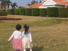 -厦门悦华酒店·绿庭主题自助餐厅