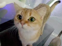 -极木²邸 人与宠物·互动社区