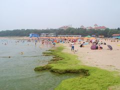 -青岛第二海水浴场