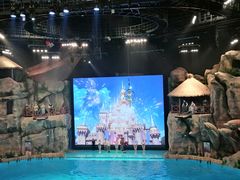 -芜湖新华联大白鲸海洋公园