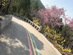 -佛慧山