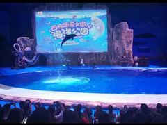 -华夏文旅海洋公园