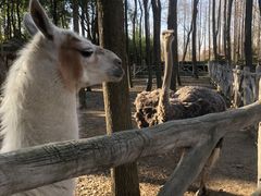 -昆山城市生态森林公园