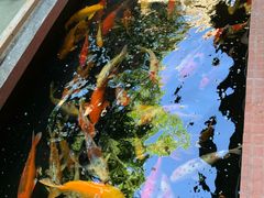 -侠成水上农庄(工业大道店)