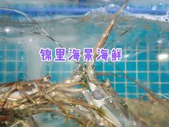 -锦里海景海鲜餐厅.三亚老字号(亚龙湾中心广场店)