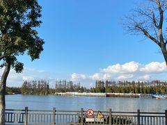 -上海长兴岛郊野公园