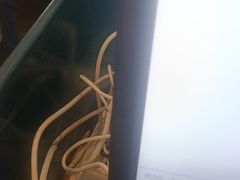 -老板恋上鱼(振华商厦店)