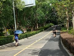 -大屏嶂森林公园