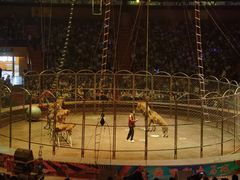 -俄罗斯国家大马戏团