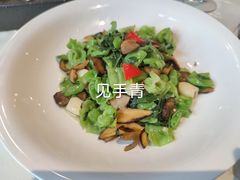 -泓0871臻选云南菜·味庄