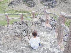 -新疆天山野生动物园