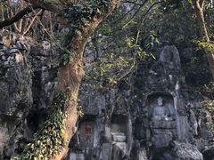 -灵隐飞来峰景区
