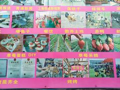 -小鱼草莓采摘园农家乐·小鱼餐厅