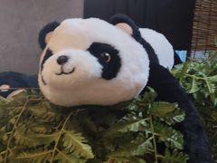 -茶去咖啡屋(武侯祠店)
