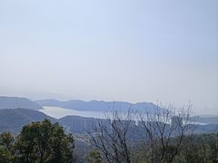 -黄贤森林公园