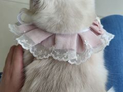 -怪兽屋·羊驼·猫咖·狗咖(俊华广场店)