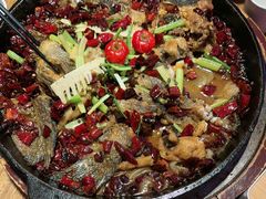 -老板恋上鱼(恒隆广场店)