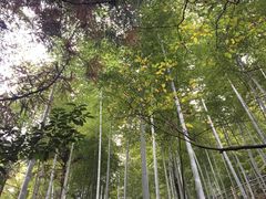 -藏龙百瀑风景区