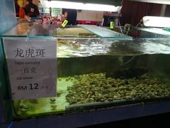-真浪大家乐海鲜餐馆