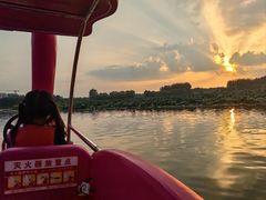 -大兴滨河森林公园