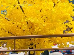 -福田卓悦INTOWN购物中心
