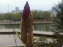 -雁滩公园