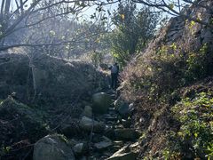 -崂山仰口游览区