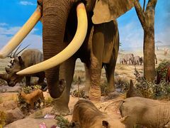 -陕西自然博物馆