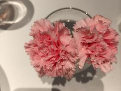 -眉州东坡(望京店)