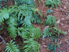 -宁波五龙潭景区