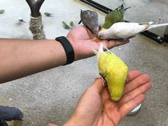 -上海大自然野生昆虫馆(东方明珠·爬宠昆虫探索中心)