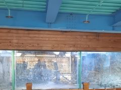 -海合安青岛极地海洋公园