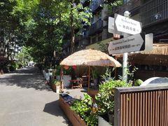 -泡桐树街