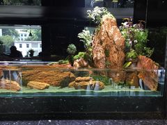 -泰谷酒店·太古码头闽菜自助餐厅