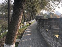 -老桂湖公园-杨升庵博物馆