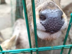 -武陵山森林公园