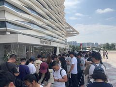 -喜茶(珠海华发商都店)