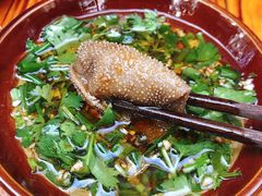 -张嬢嬢老火锅(壹号店•六年店)